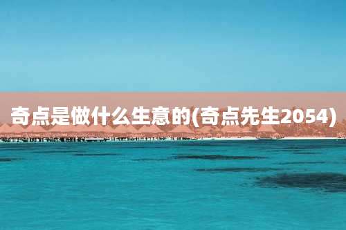 奇点是做什么生意的(奇点先生2054)