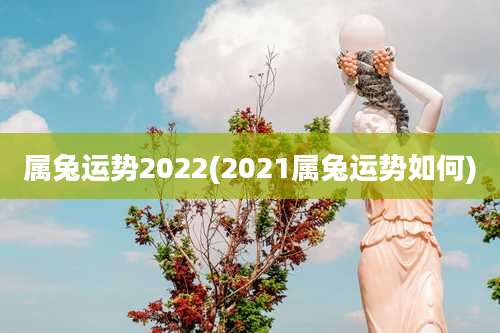 属兔运势2022(2021属兔运势如何)
