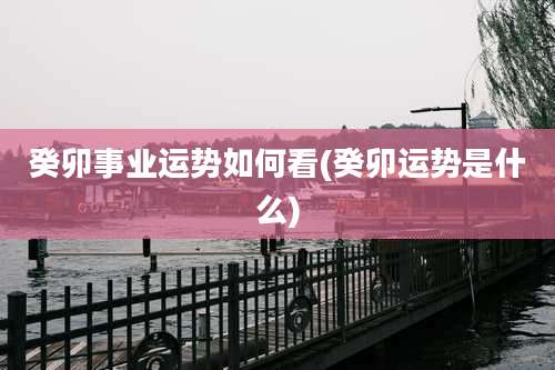 癸卯事业运势如何看(癸卯运势是什么)