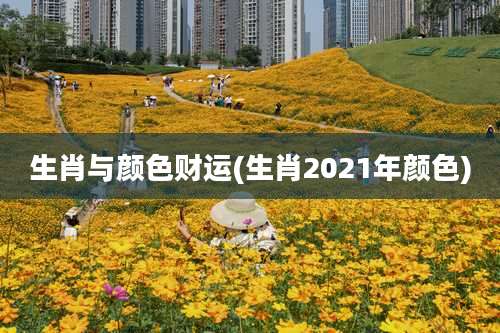 生肖与颜色财运(生肖2021年颜色)