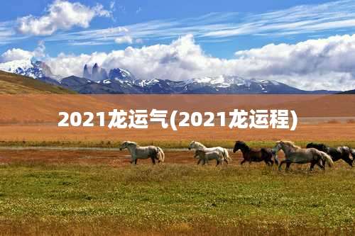 2021龙运气(2021龙运程)