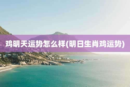 鸡明天运势怎么样(明日生肖鸡运势)