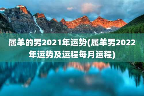属羊的男2021年运势(属羊男2022年运势及运程每月运程)