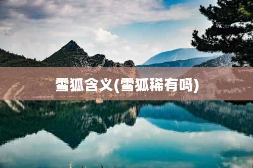 雪狐含义(雪狐稀有吗)