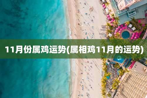 11月份属鸡运势(属相鸡11月的运势)