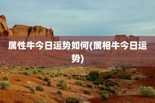 属性牛今日运势如何(属相牛今日运势)