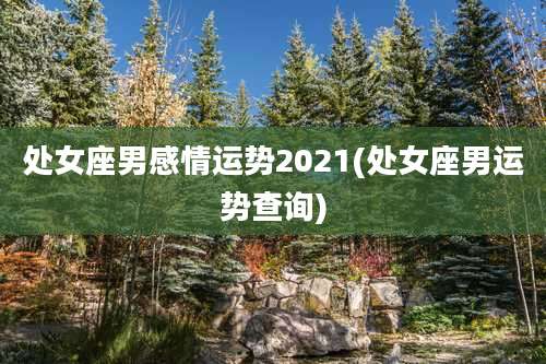 处女座男感情运势2021(处女座男运势查询)