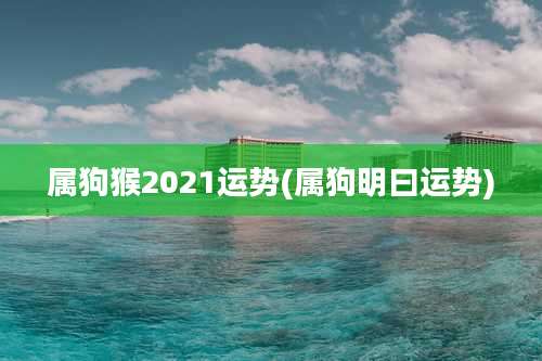 属狗猴2021运势(属狗明曰运势)