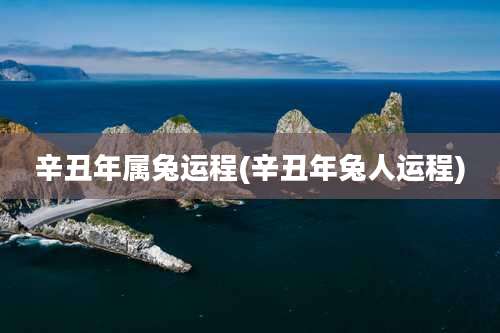 辛丑年属兔运程(辛丑年兔人运程)