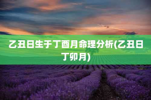 乙丑日生于丁酉月命理分析(乙丑日丁卯月)