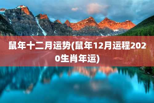 鼠年十二月运势(鼠年12月运程2020生肖年运)