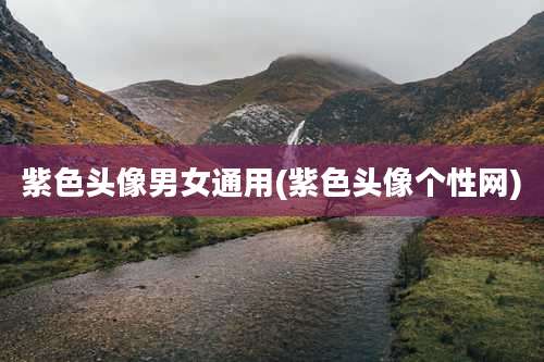 紫色头像男女通用(紫色头像个性网)