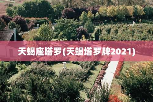 天蝎座塔罗(天蝎塔罗牌2021)
