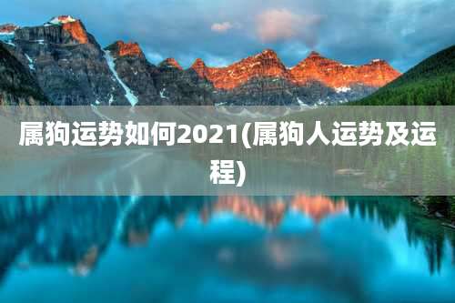 属狗运势如何2021(属狗人运势及运程)
