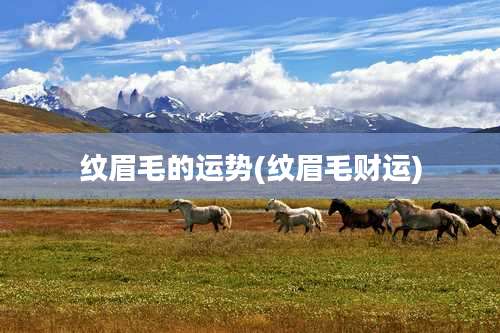 纹眉毛的运势(纹眉毛财运)