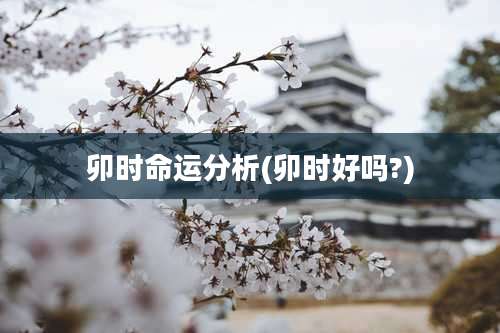 卯时命运分析(卯时好吗?)