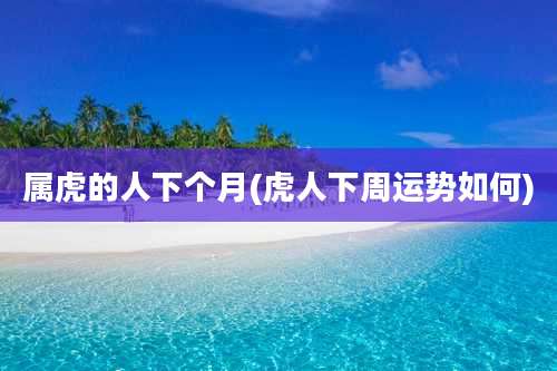属虎的人下个月(虎人下周运势如何)