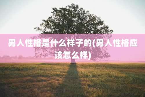 男人性格是什么样子的(男人性格应该怎么样)