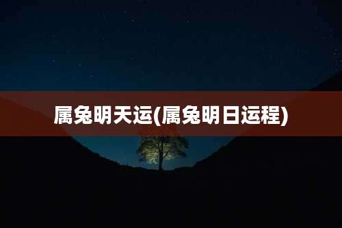 属兔明天运(属兔明日运程)