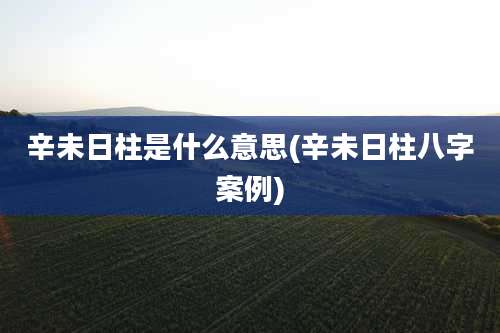 辛未日柱是什么意思(辛未日柱八字案例)