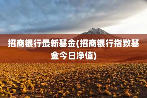 招商银行最新基金(招商银行指数基金今日净值)