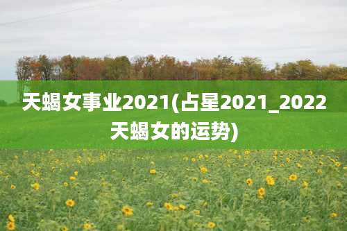 天蝎女事业2021(占星2021_2022天蝎女的运势)
