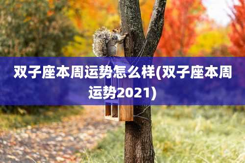 双子座本周运势怎么样(双子座本周运势2021)