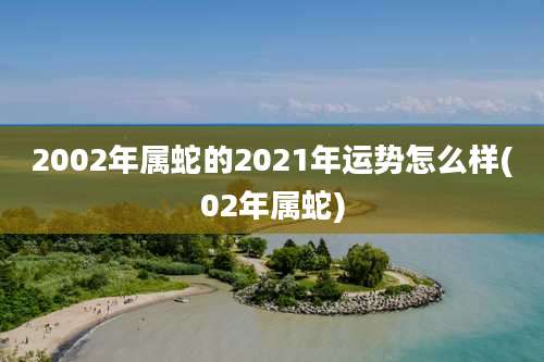 2002年属蛇的2021年运势怎么样(02年属蛇)