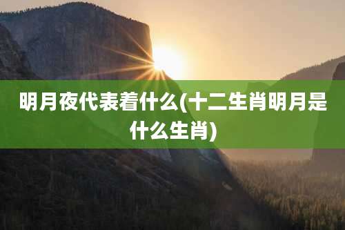 明月夜代表着什么(十二生肖明月是什么生肖)