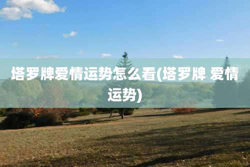 塔罗牌爱情运势怎么看(塔罗牌 爱情运势)