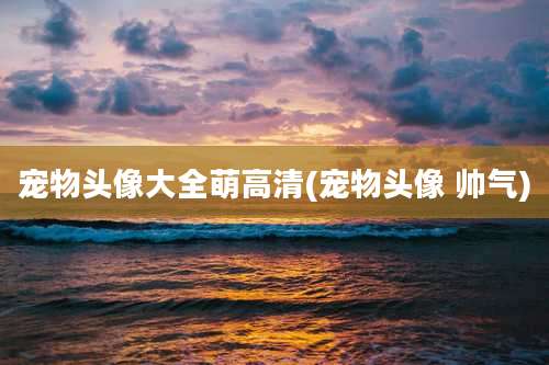 宠物头像大全萌高清(宠物头像 帅气)