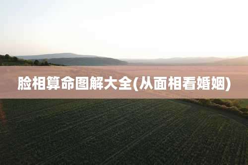 脸相算命图解大全(从面相看婚姻)