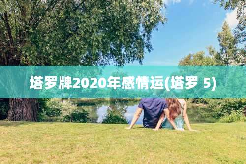 塔罗牌2020年感情运(塔罗 5)