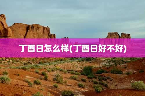 丁酉日怎么样(丁酉日好不好)