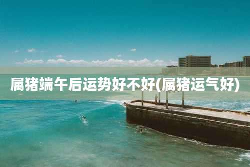 属猪端午后运势好不好(属猪运气好)