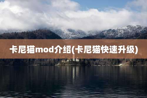 卡尼猫mod介绍(卡尼猫快速升级)