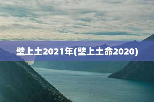 壁上土2021年(壁上土命2020)