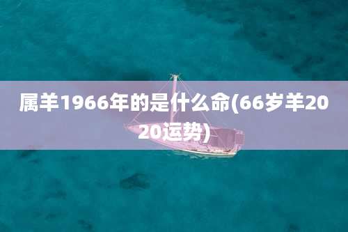 属羊1966年的是什么命(66岁羊2020运势)