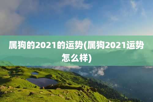 属狗的2021的运势(属狗2021运势怎么样)