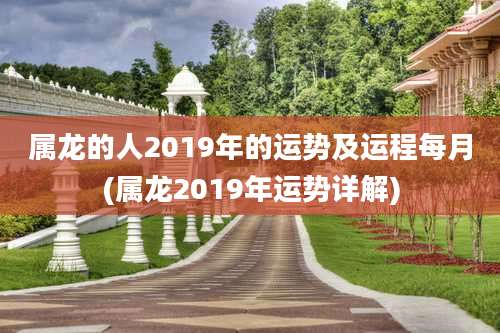 属龙的人2019年的运势及运程每月(属龙2019年运势详解)
