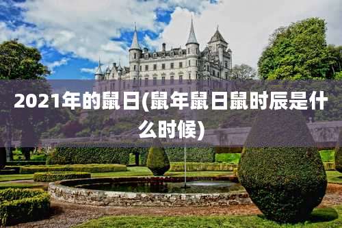 2021年的鼠日(鼠年鼠日鼠时辰是什么时候)