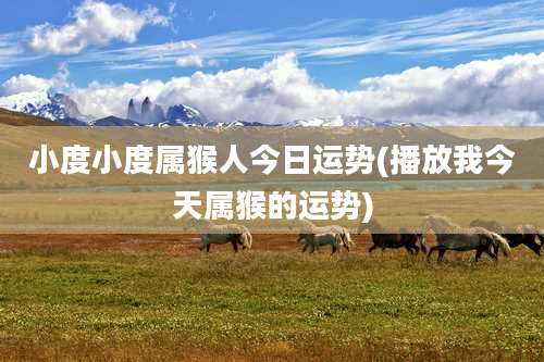 小度小度属猴人今日运势(播放我今天属猴的运势)