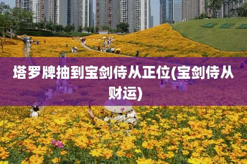 塔罗牌抽到宝剑侍从正位(宝剑侍从 财运)