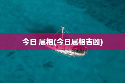 今日 属相(今日属相吉凶)