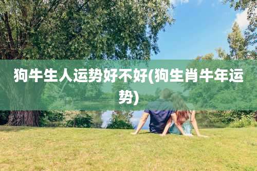 狗牛生人运势好不好(狗生肖牛年运势)