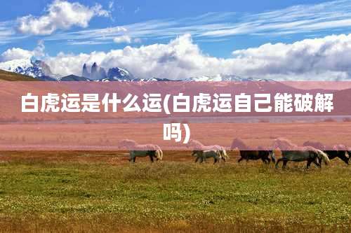 白虎运是什么运(白虎运自己能破解吗)