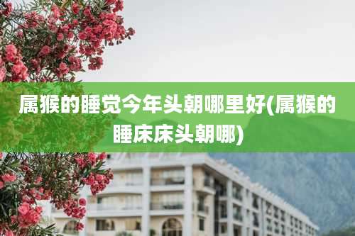 属猴的睡觉今年头朝哪里好(属猴的睡床床头朝哪)