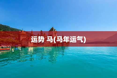 运势 马(马年运气)