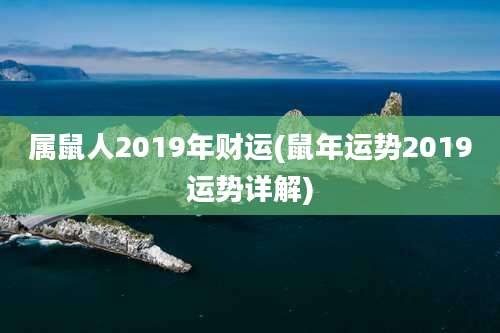 属鼠人2019年财运(鼠年运势2019运势详解)