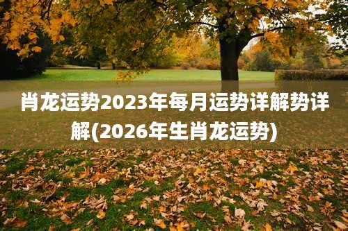 肖龙运势2023年每月运势详解势详解(2026年生肖龙运势)